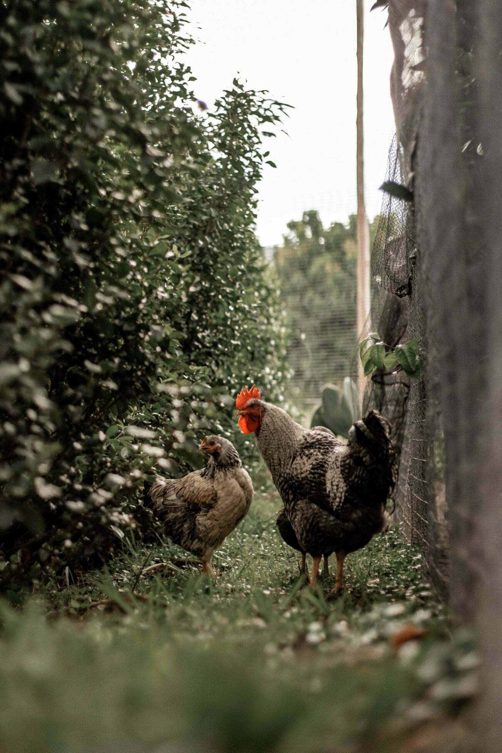 Luxurious Bed and Breakfast in Mataffin Macadamia Lifestyle Village, Nelspruit, Mbombela, Mpumalanga, South Africa