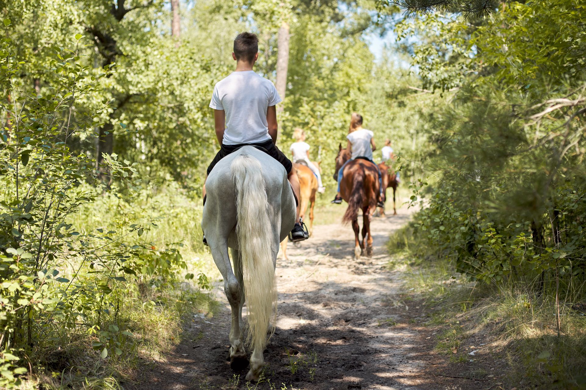 Pony Rid Horse-Riding Trails at Dakota Ranch & Adventure Park